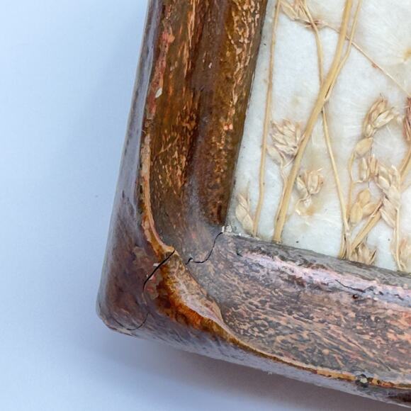 Vintage Antique Pressed Real Butterfly Tray Framed Botanicals 14.5" x 11" - Picture 11 of 16